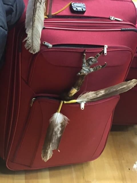 A bard foot and feathers poke out of a suitcase pocket